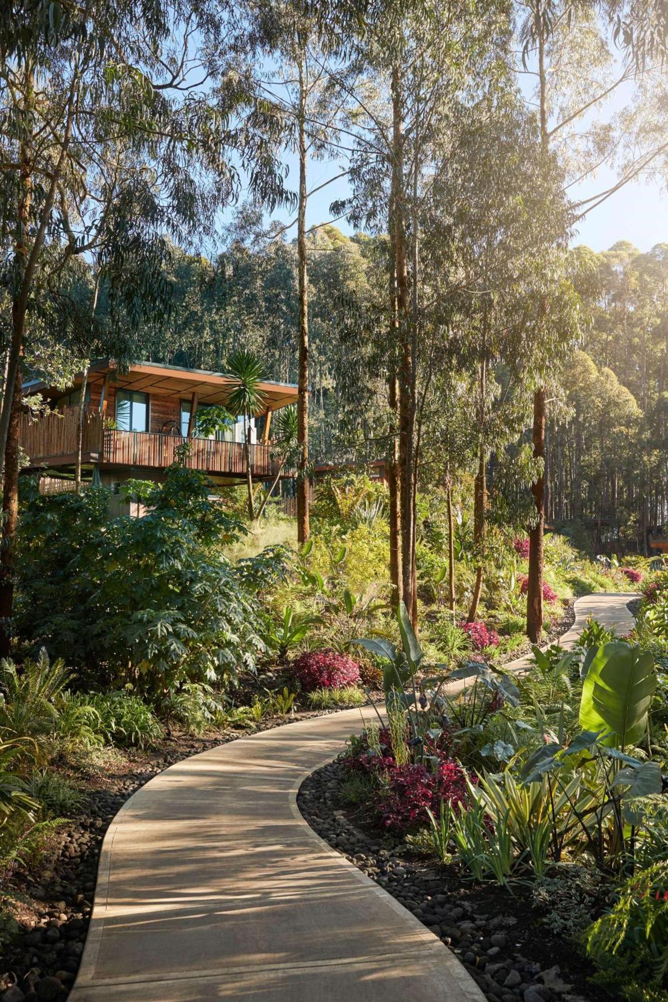 One&Only Gorilla'S Nest Hotel Kinigi Ngoại thất bức ảnh